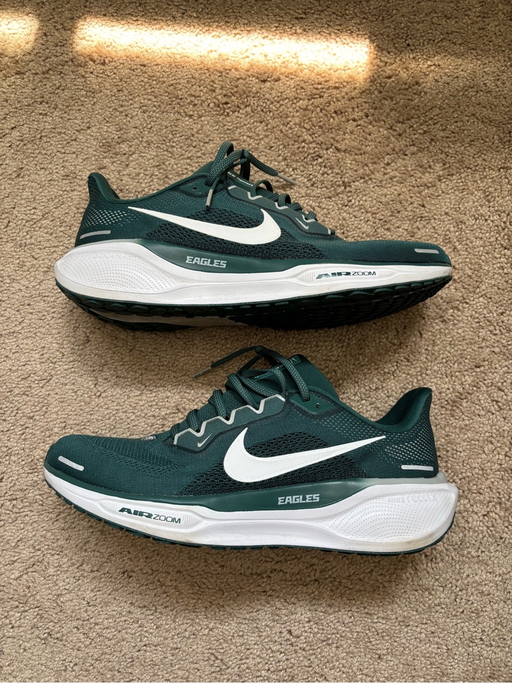 Nike Pegasus 41 Eagles Shoes